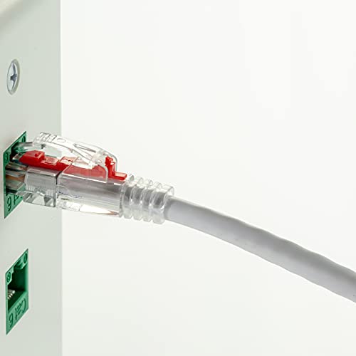 NTW 5ft CAT6 כבל Ethernet, נעילה נטו RJ45 כבל תיקון רשת אתרנט, נטול נטול, אפור + 10 תוספות מקש נעילה נטו + כלי מיצוי כלול,